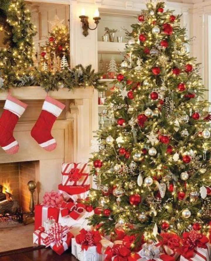 FB_IMG_1703266008164