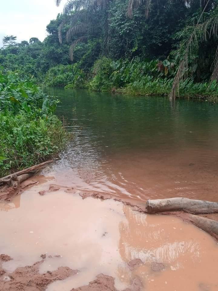 FB_IMG_1704493027223