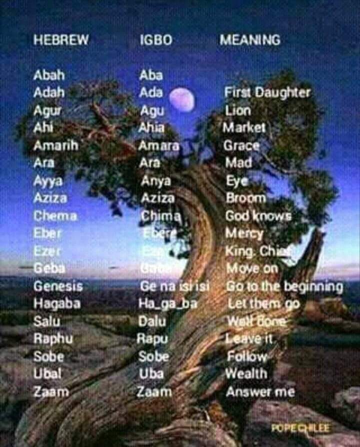 FB_IMG_1705370109879