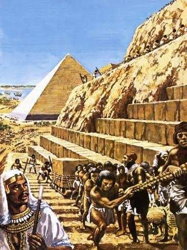 FB_IMG_1705449986385