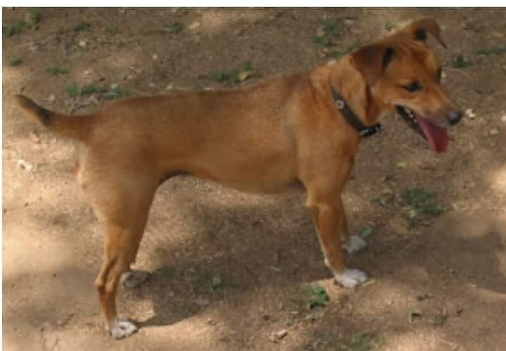 FB_IMG_1706385838332