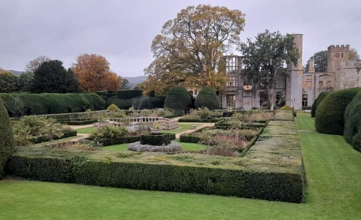 FB_IMG_1706476752485