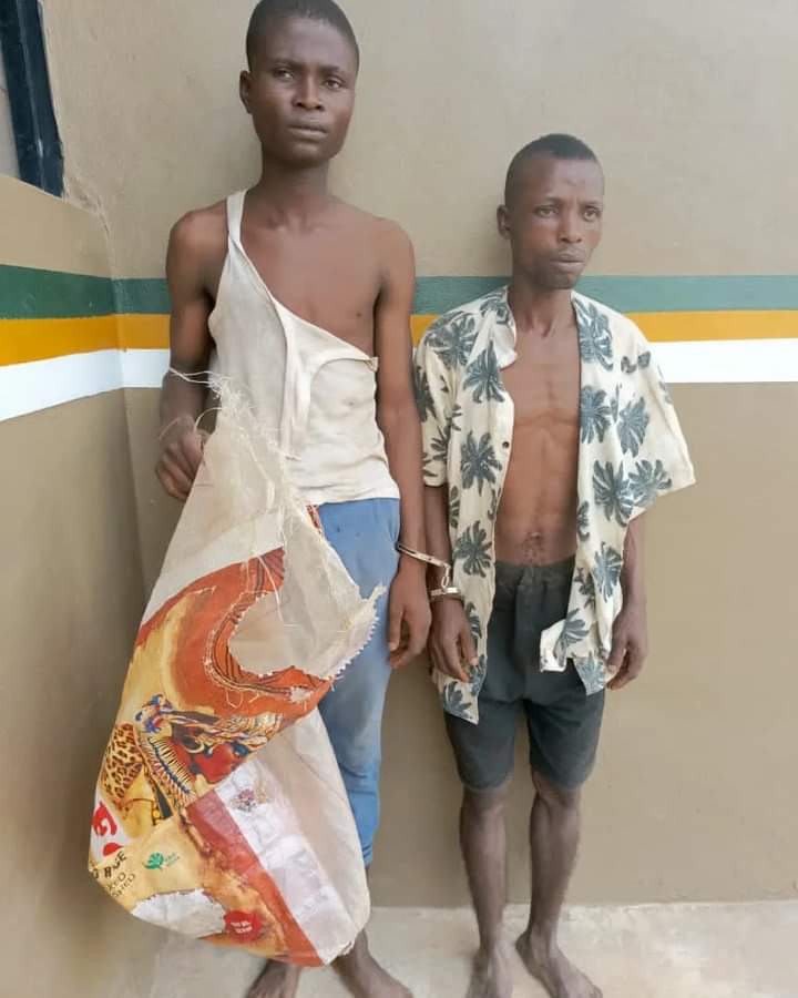 FB_IMG_1707169994918