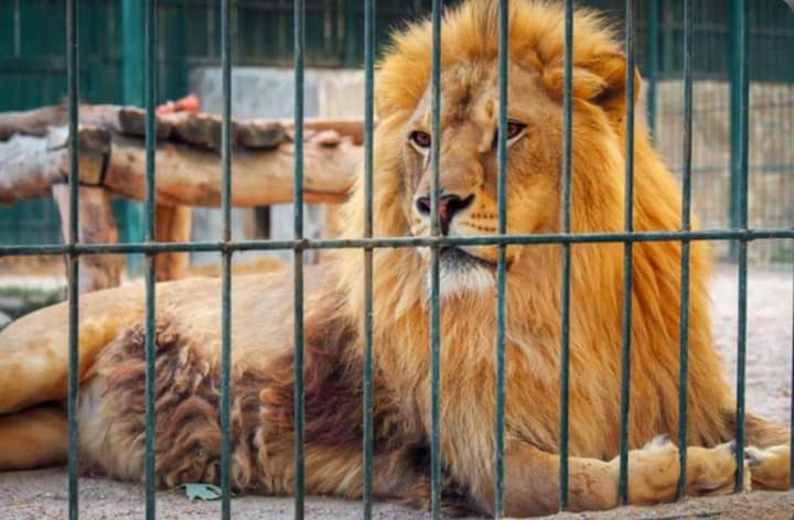 FB_IMG_1708432465374