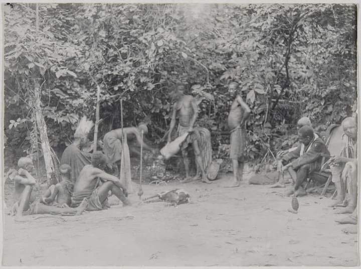 FB_IMG_1708435490335