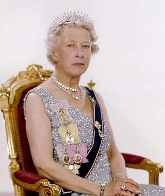 FB_IMG_1711756884682