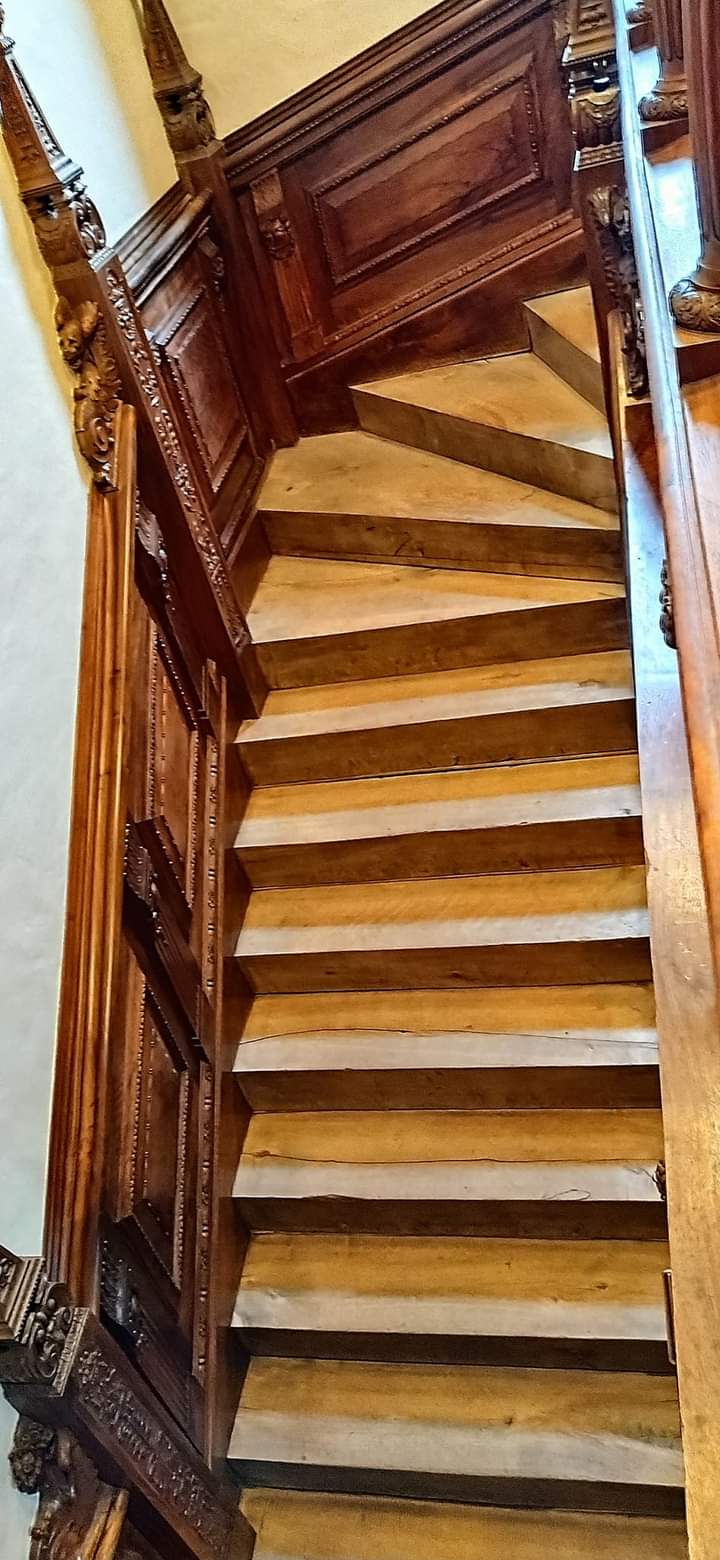 FB_IMG_1711757373528